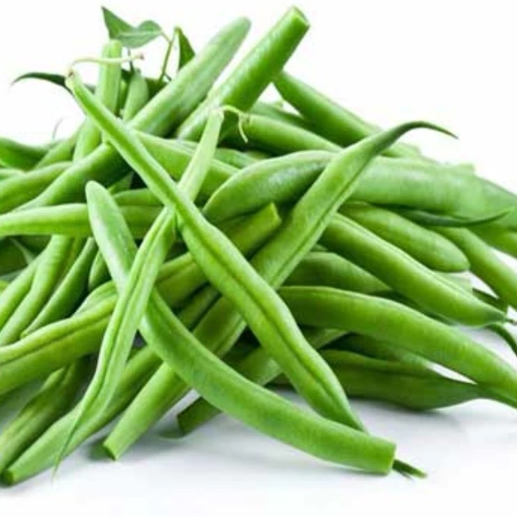 خواص بینظیر لوبیا سبز