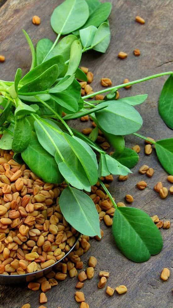 شنبلیله و خواص آن در رشد و تقویت موها